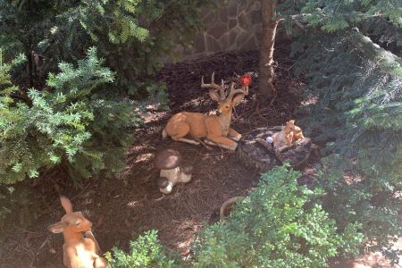 Внешний вид