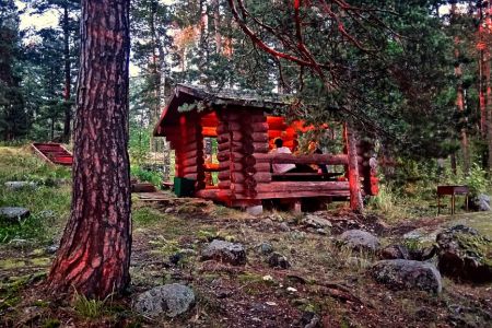 Внешний вид