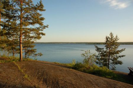 Внешний вид