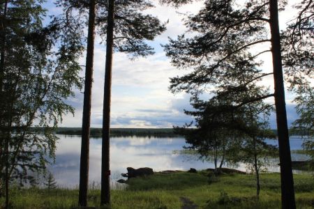 Внешний вид