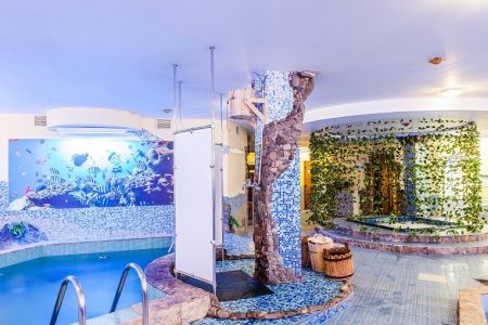 Внешний вид