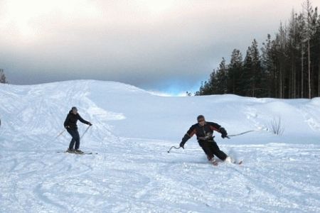 Коттедж Созвездие