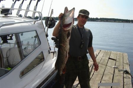 Коттедж Созвездие