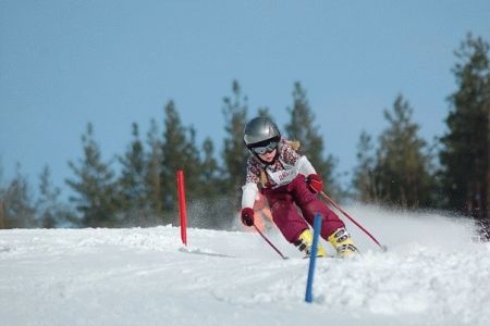 Коттедж Созвездие