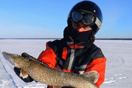 Коттедж Созвездие