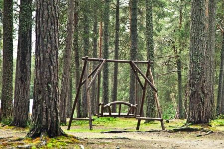 Коттедж Созвездие