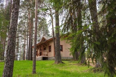 Территория