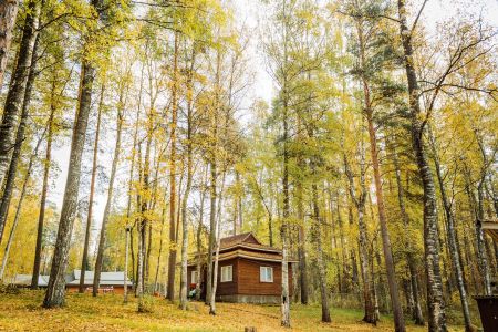 Коттедж (№6)