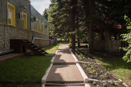 Внешний вид