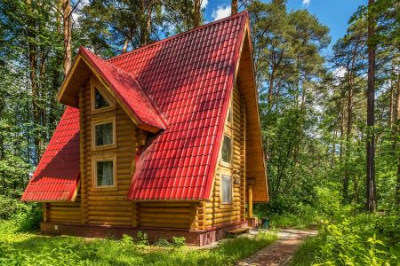 Основной вид