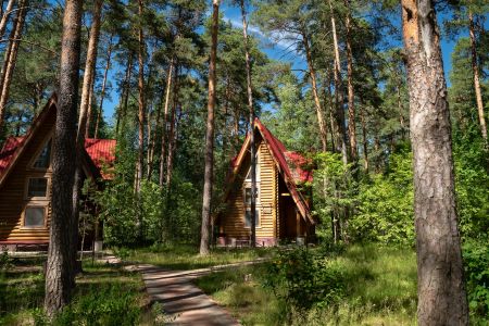 Основной вид