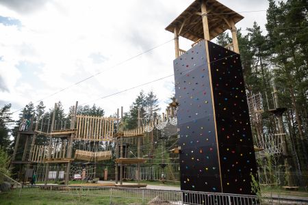 Основной вид