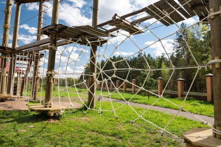 Основной вид