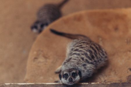 Банный комплекс. Барская баня