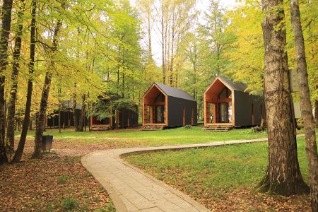 Внешний вид