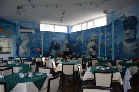 Внешний вид