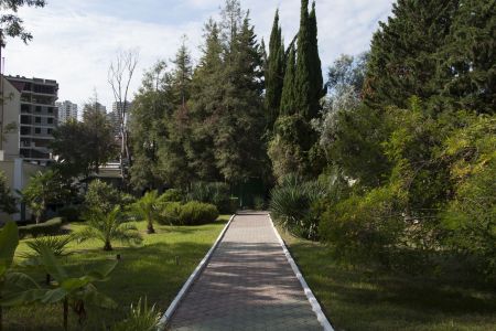 Внешний вид