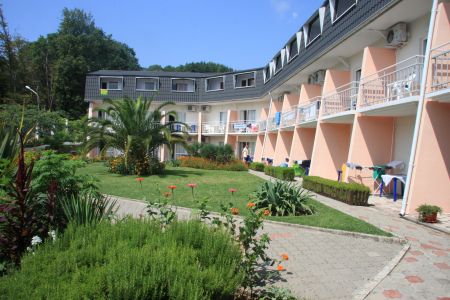 Внешний вид