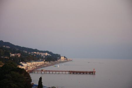 Внешний вид