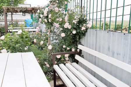 Вид с улицы