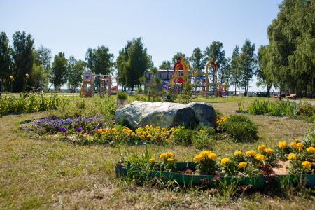 Внешний вид