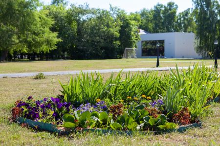 Внешний вид