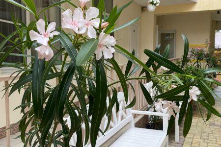 image-27-01-23-03-02-1 (1)