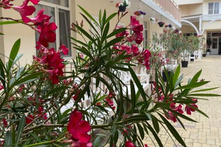 image-27-01-23-03-02-1 (1)