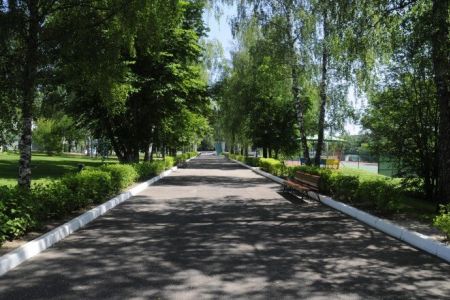 Внешний вид