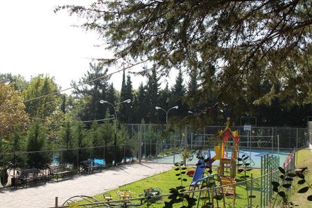 Внешний вид