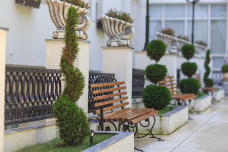 Внешний вид