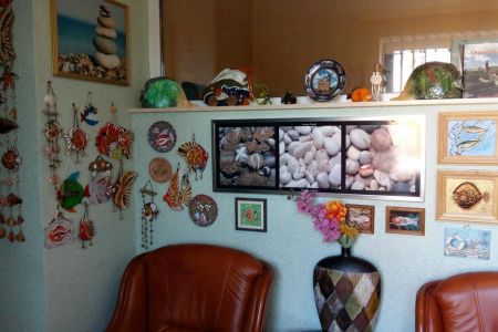 Внешний вид