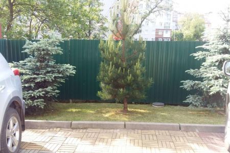 Внешний вид