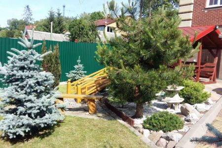 Внешний вид