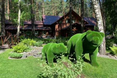 Внешний вид