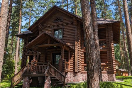 Внешний вид