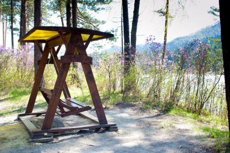 Территория