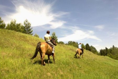 Территория