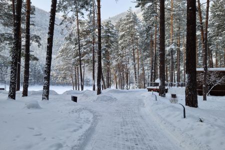 Внешний вид