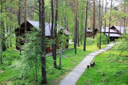 Внешний вид