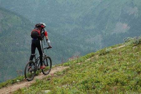 Территория