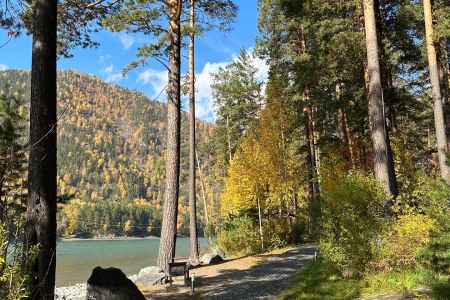 Внешний вид