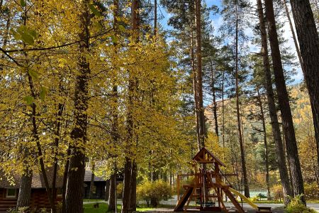 Внешний вид