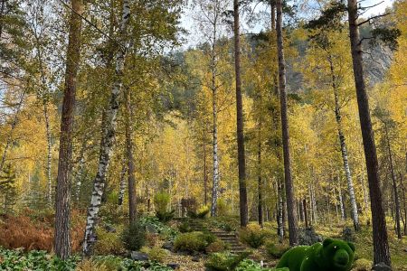 Внешний вид