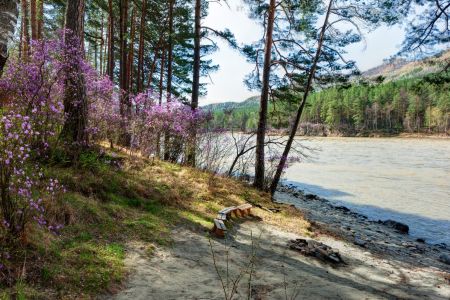 Территория