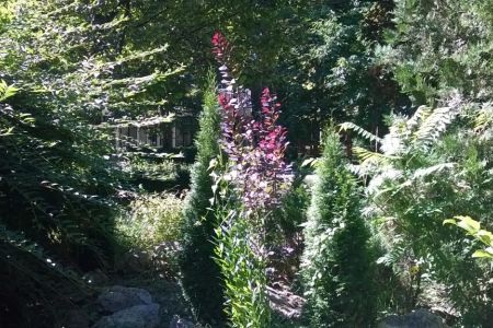 Территория