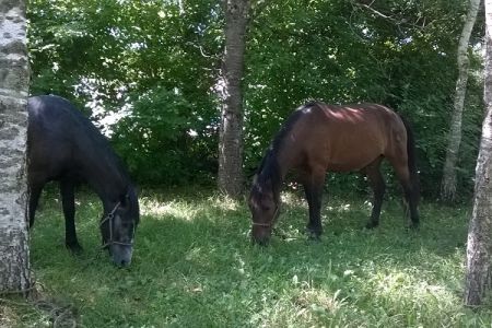 Минеральные ванны