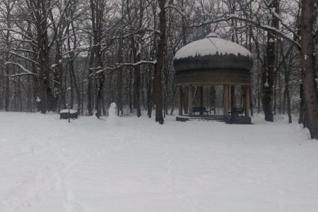 Внешний вид