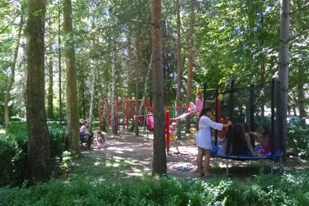 Внешний вид