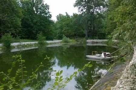 Внешний вид